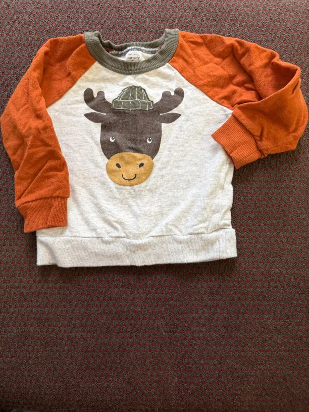 Carter's + OshKosh 2T Fall Sweatshirts Lot of 2 Moose Raglan Sage Quilted